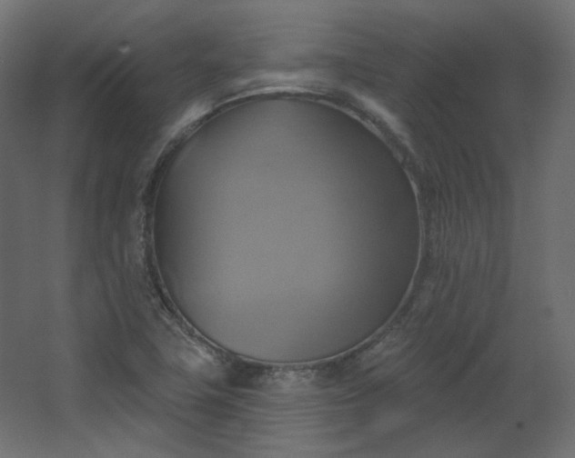 X0000067841411200604201229