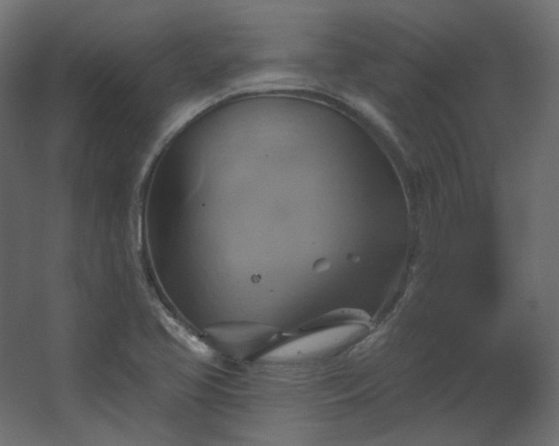 X0000067841413200604201229