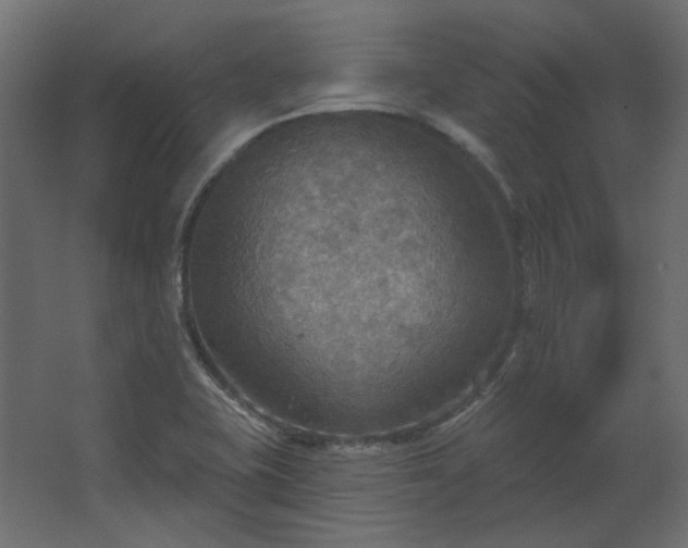 X0000067841415200604201229