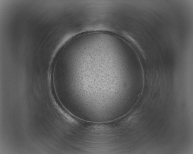 X0000067841416200604201230