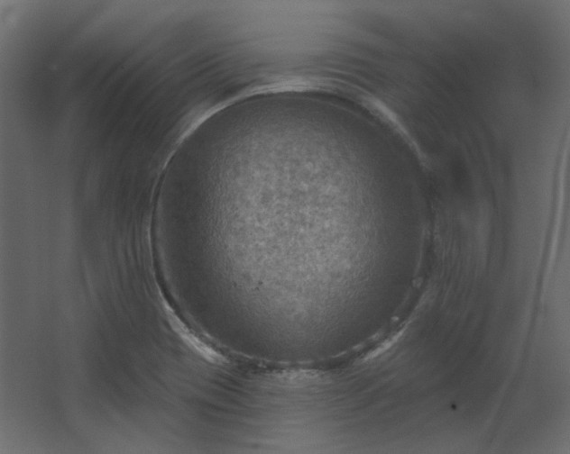 X0000067841417200604201230