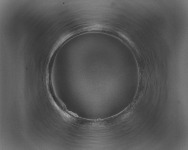 X0000067841418200604201230