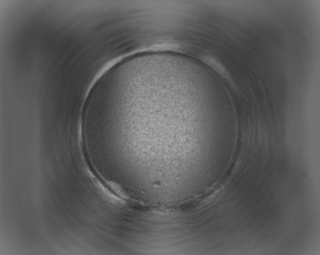 X0000067841420200604201230