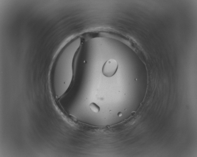 X0000067841422200604201230