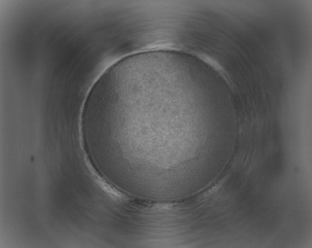 X0000067841423200604201230