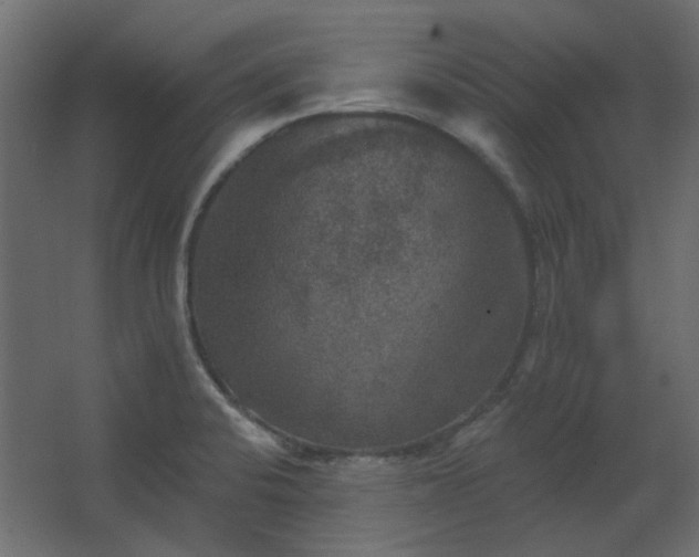 X0000067841424200604201230