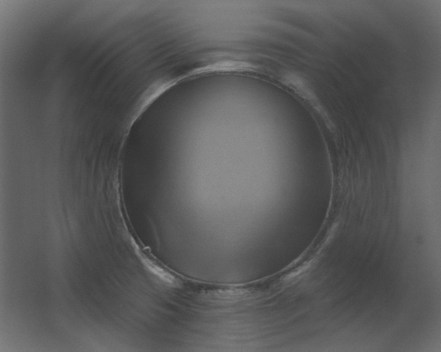 X0000067841425200604201230