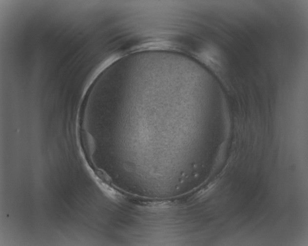 X0000067841426200604201230