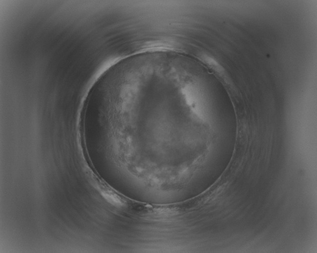 X0000067841427200604201230