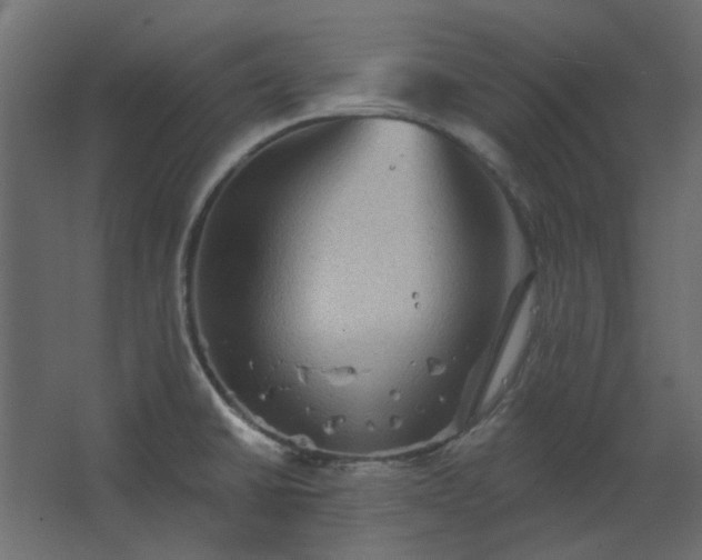 X0000067841430200604201230