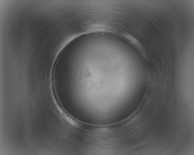 X0000067841431200604201230