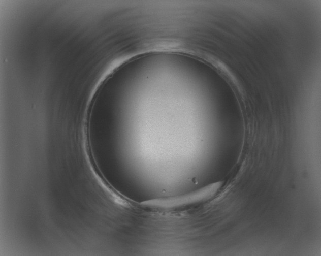 X0000067841432200604201230