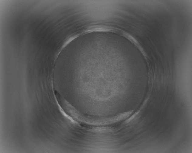 X0000067841433200604201230