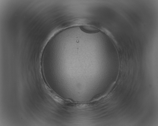 X0000067841435200604201230