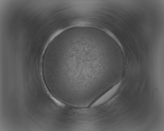 X0000067841437200604201230