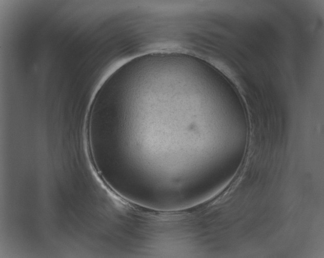 X0000067841440200604201230