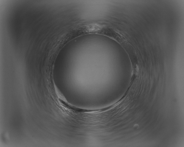 X0000067841441200604201229