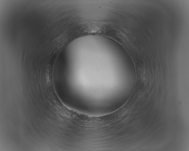 X0000067841442200604201229