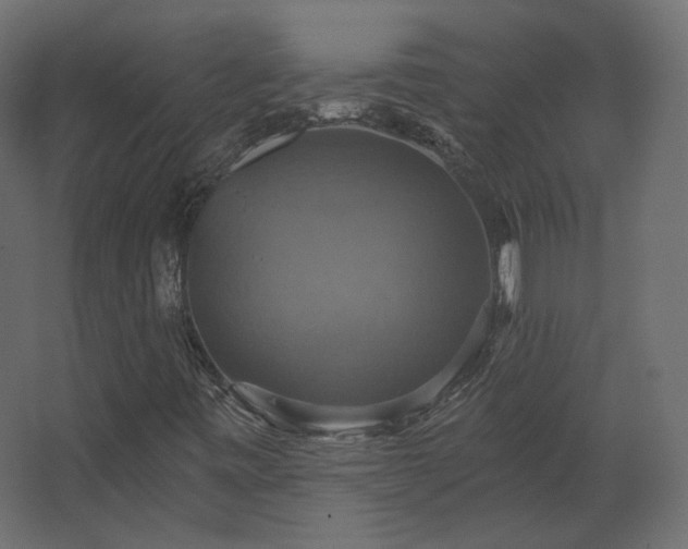 X0000067841443200604201229