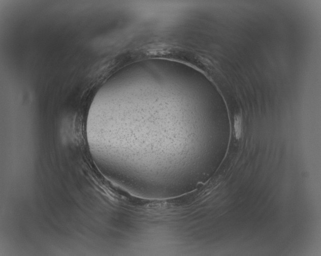 X0000067841444200604201229