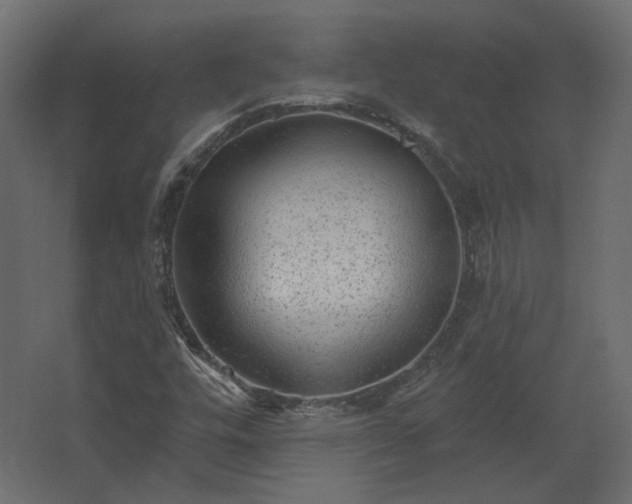 X0000067841448200604201229