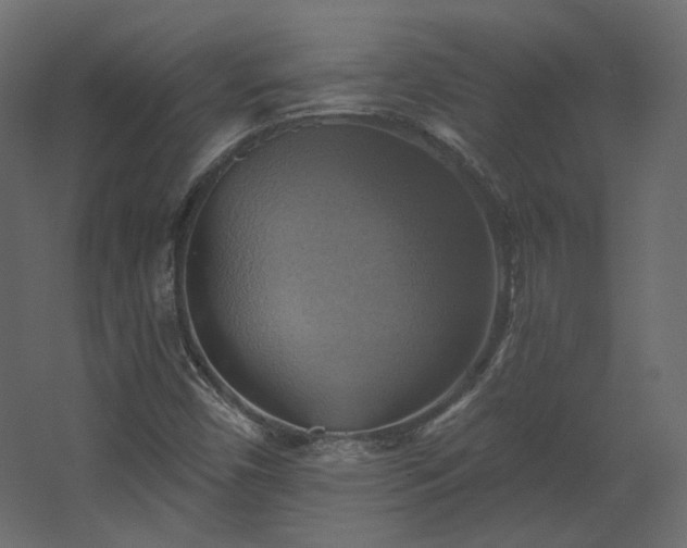 X0000067841450200604201229