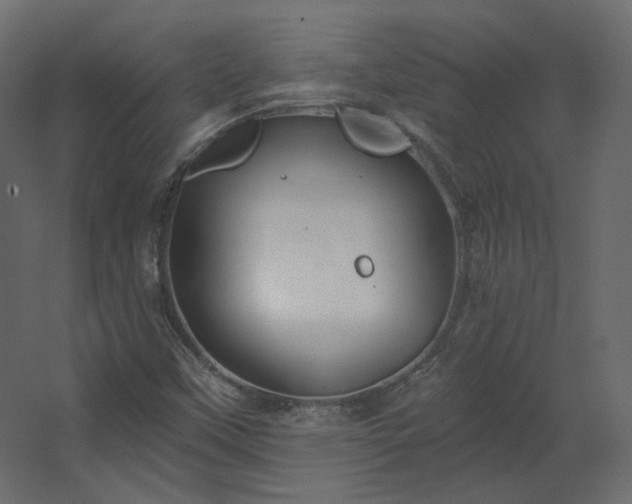 X0000067841451200604201229