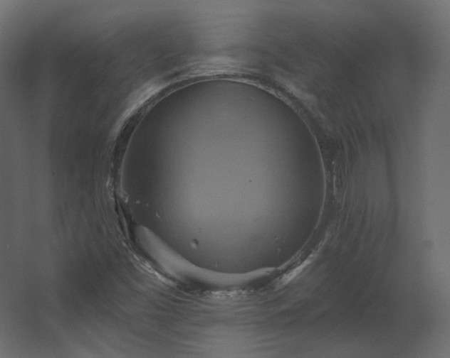 X0000067841453200604201229