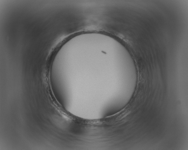 X0000067841454200604201229