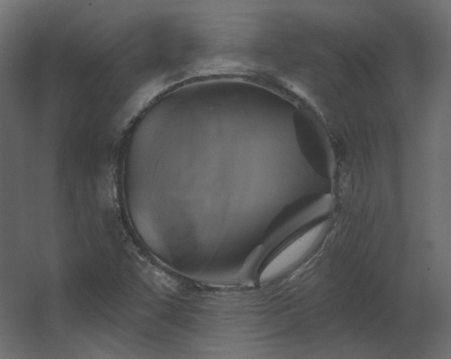 X0000067841455200604201229