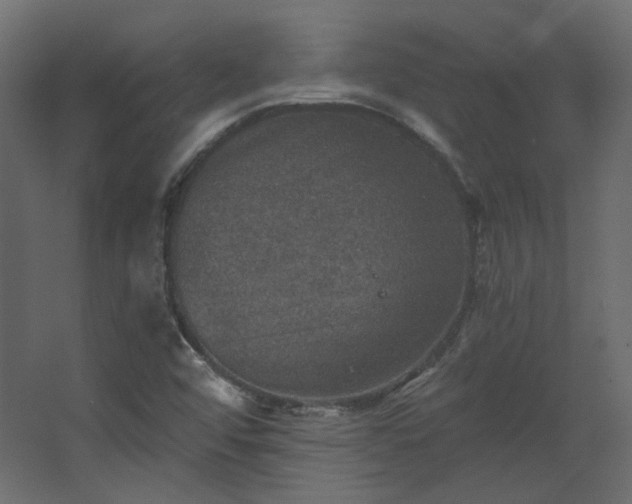 X0000067841456200604201229