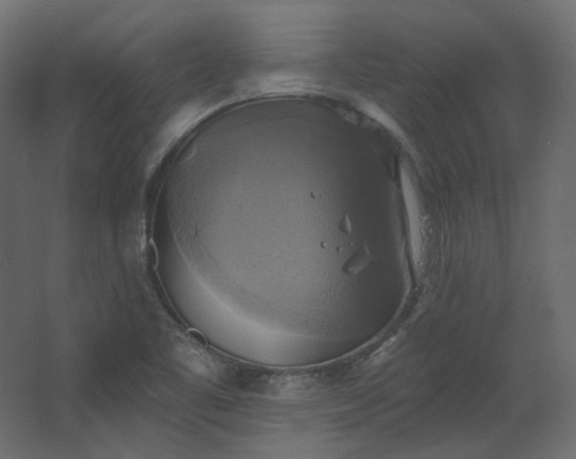 X0000067841461200604201229