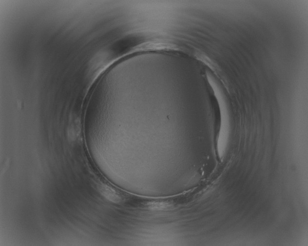 X0000067841465200604201229