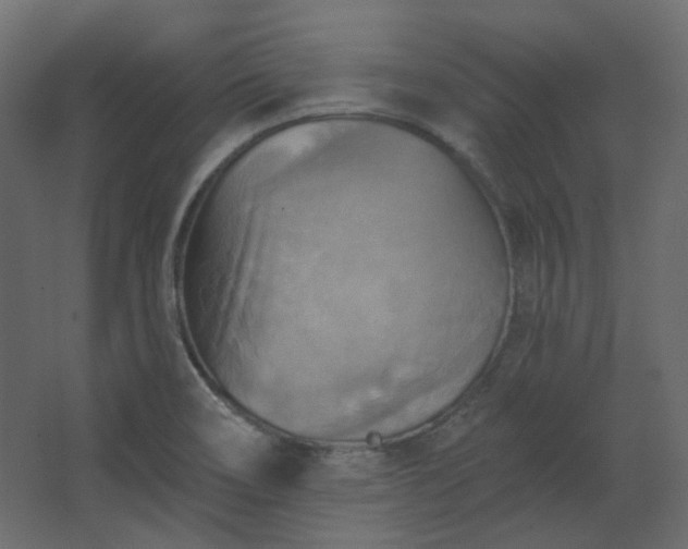 X0000067841466200604201229