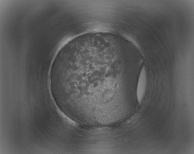 X0000067841471200604201229