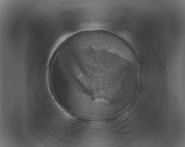 X0000067841472200604201229