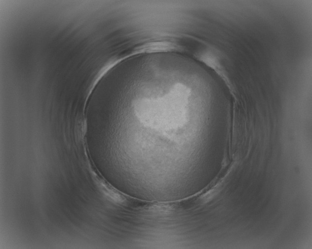 X0000067841473200604201229