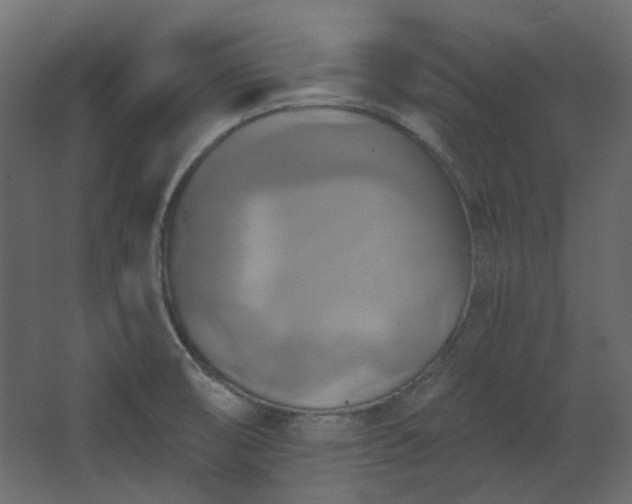 X0000067841474200604201229