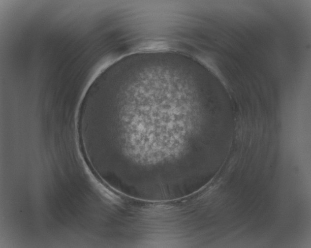 X0000067841475200604201229