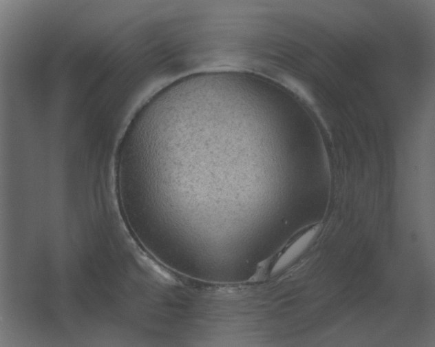 X0000067841480200604201228