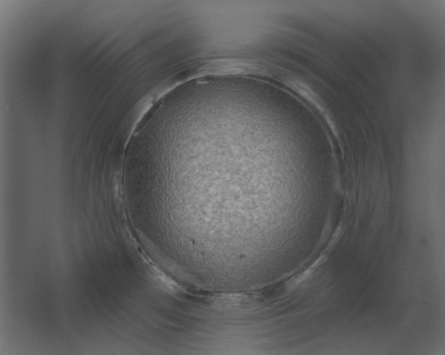 X0000067841481200604201228