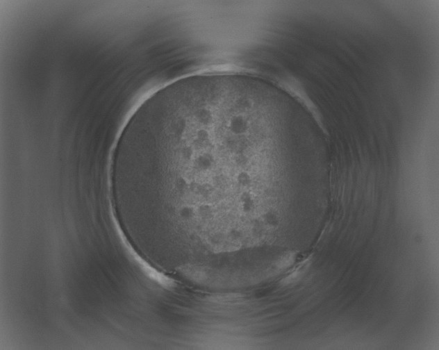 X0000067841483200604201228