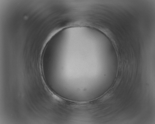 X0000067841486200604201228