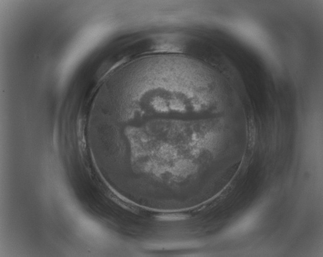 X0000067841487200604201228