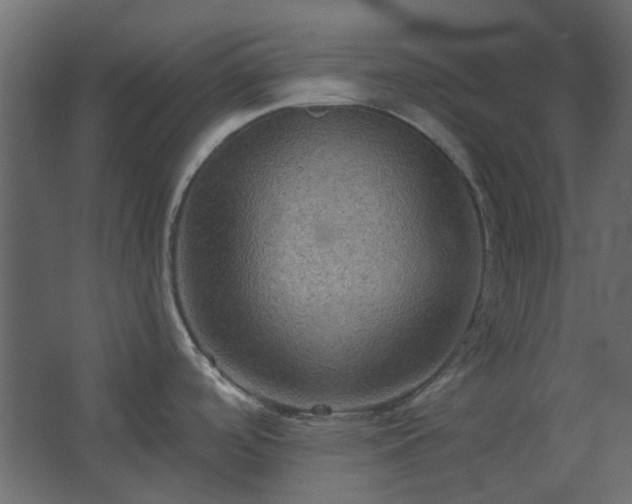 X0000067841488200604201228