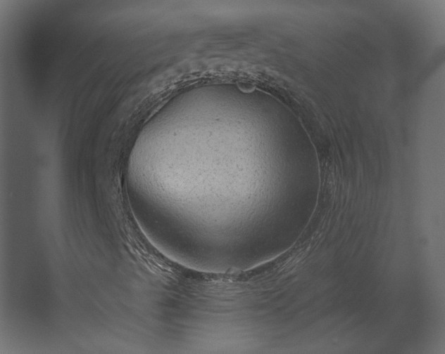 X0000067841489200604201228