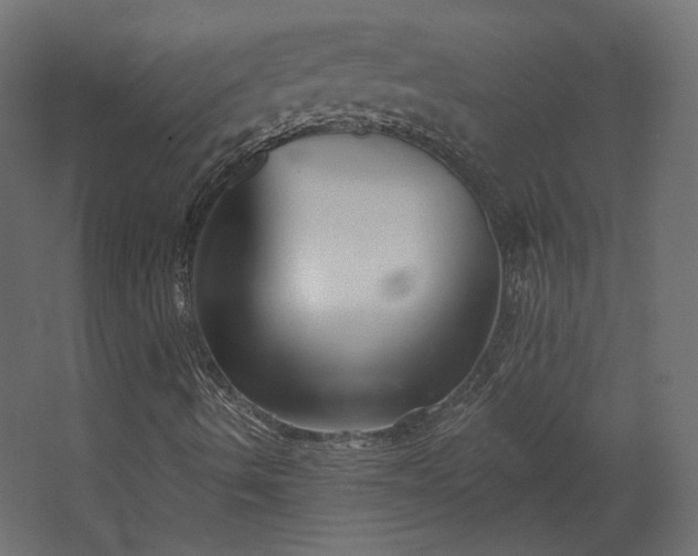 X0000067841490200604201228