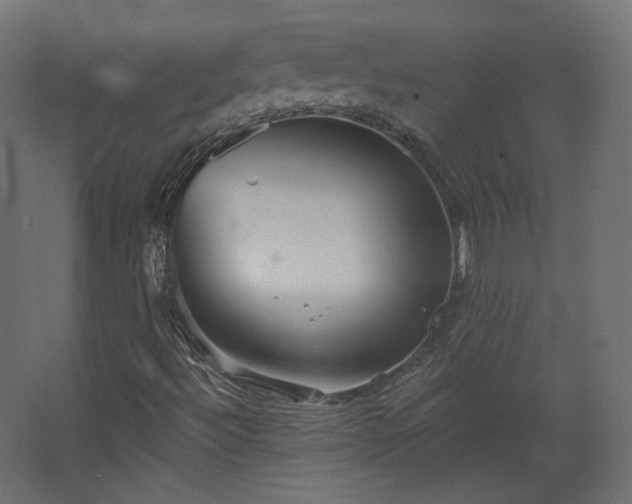 X0000067841492200604201228