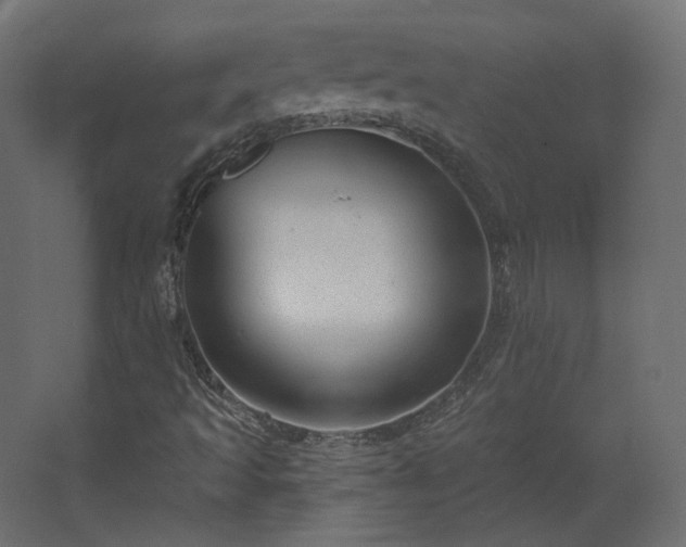 X0000067841493200604201228