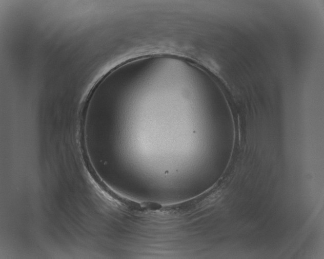 X0000067841500200604201228